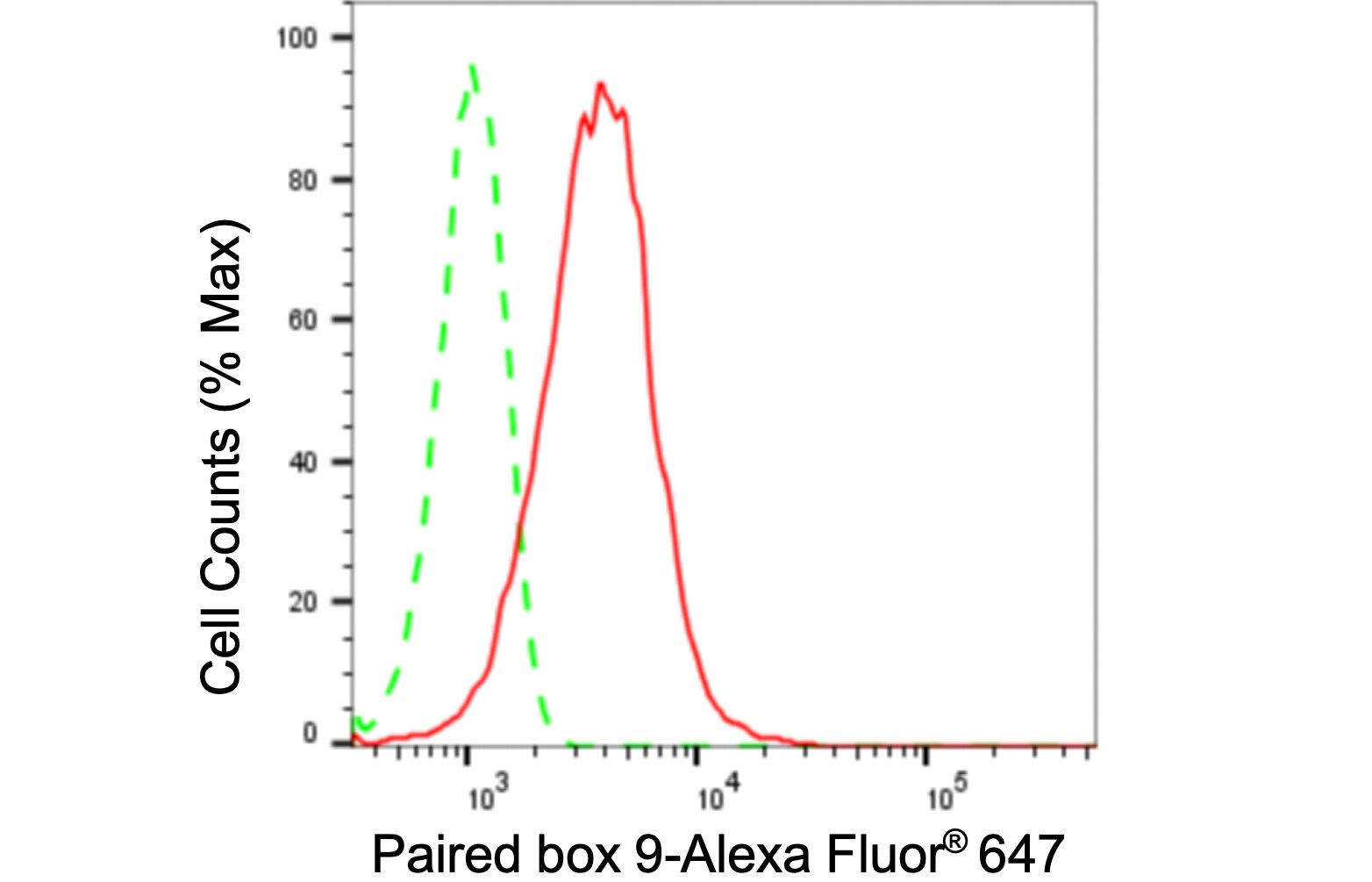 PAX9 Antibody (24GB315)