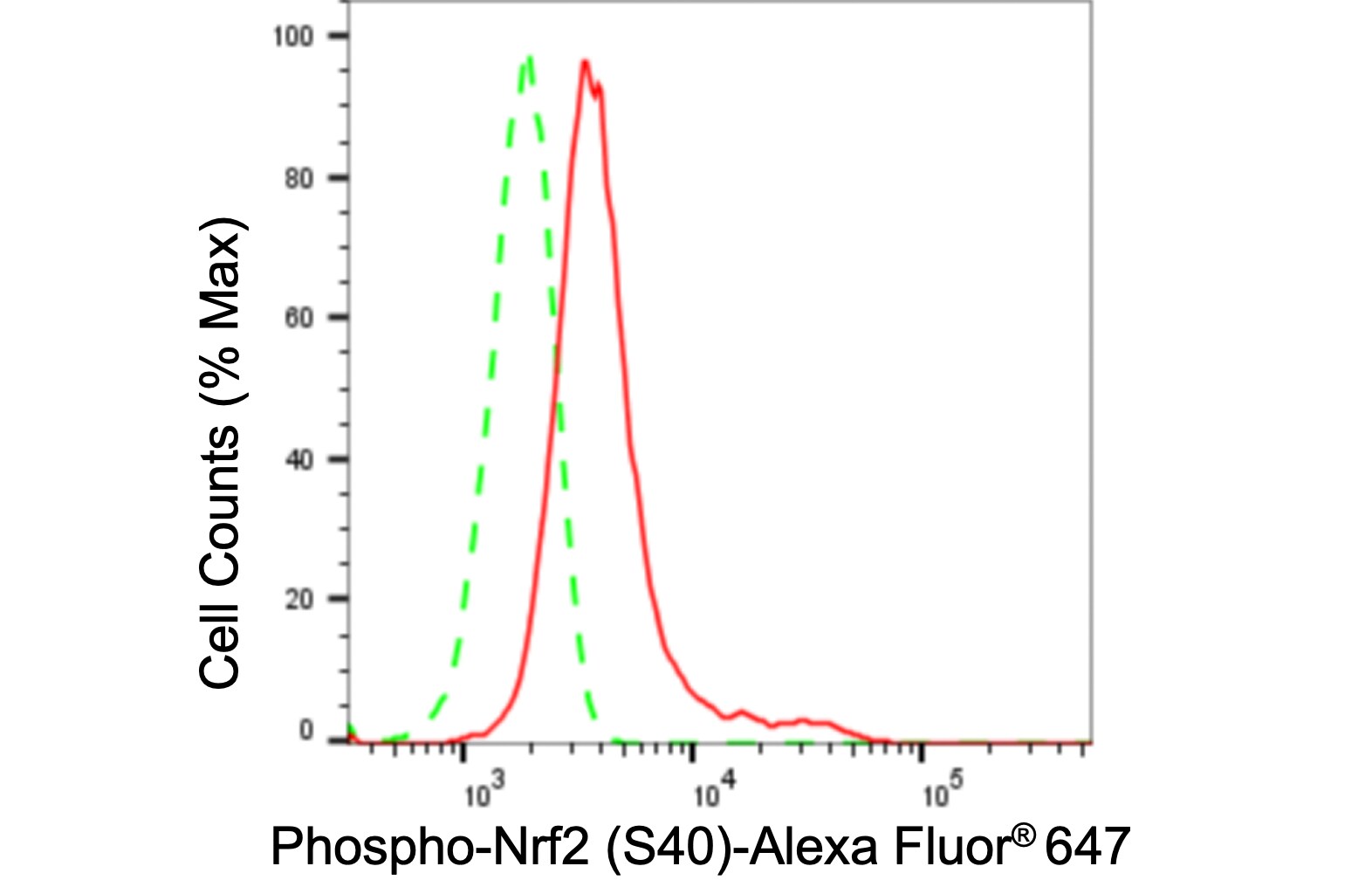 Nrf2 [p Ser40] Antibody (24GB335)