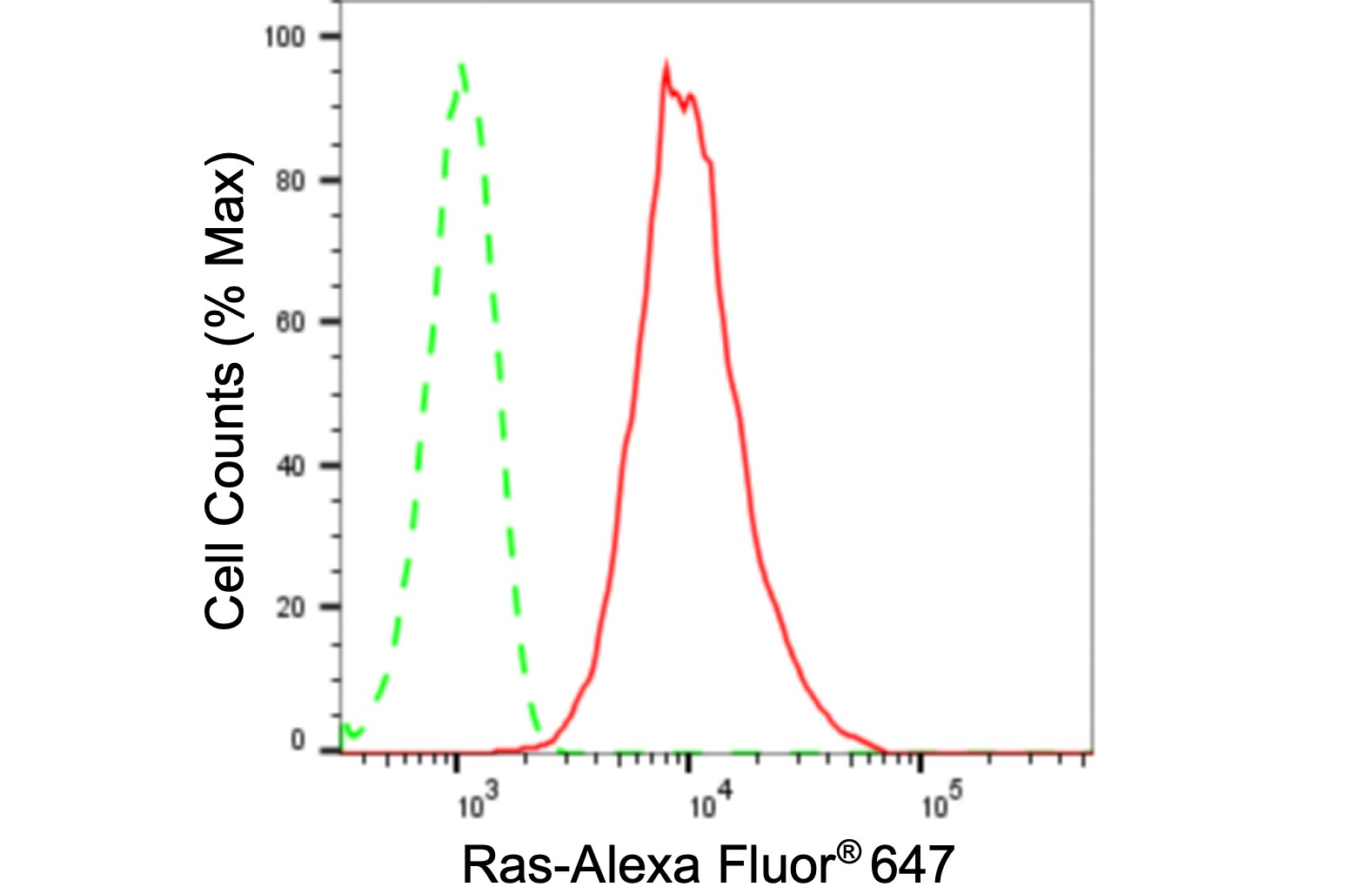 NRAS/HRAS/KRAS Antibody (24GB350)