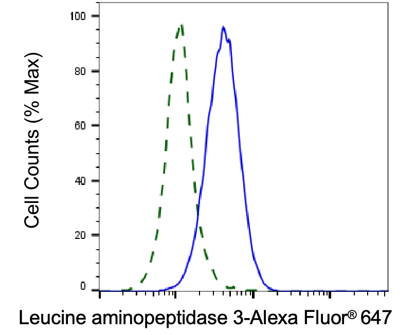 LAP3 Antibody (24GB5965)