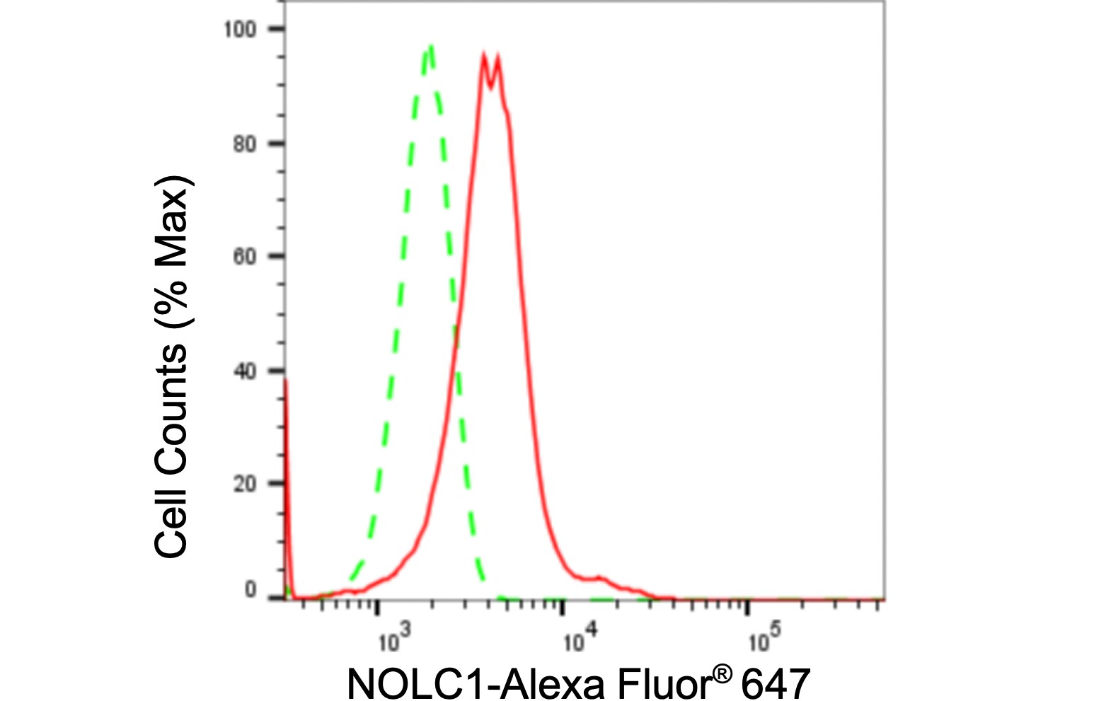 NOLC1 Antibody (24GB490)