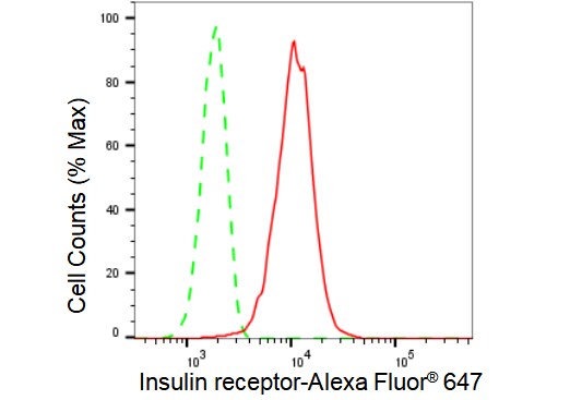 Insulin R/CD220 Antibody (23GB2050)