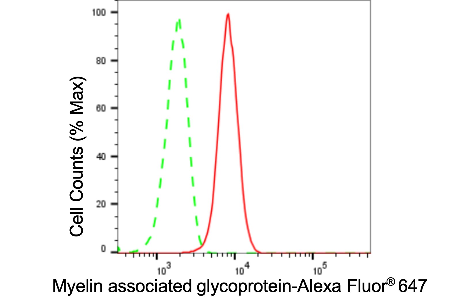 MAG/Siglec-4a Antibody (24GB525)