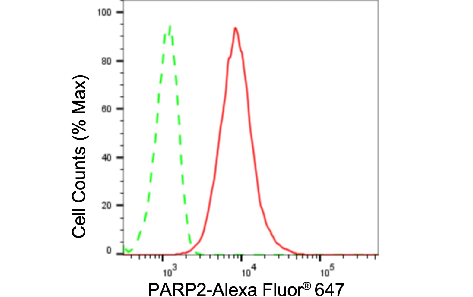 PARP2 Antibody (24GB555)