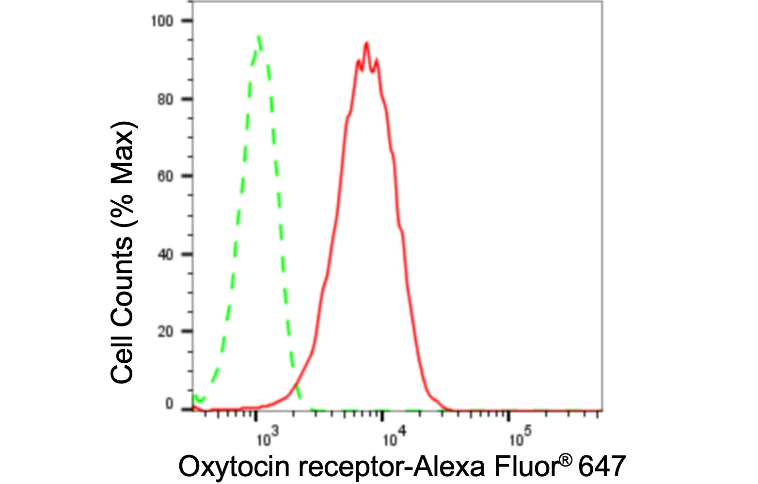 OXTR Antibody (24GB560)