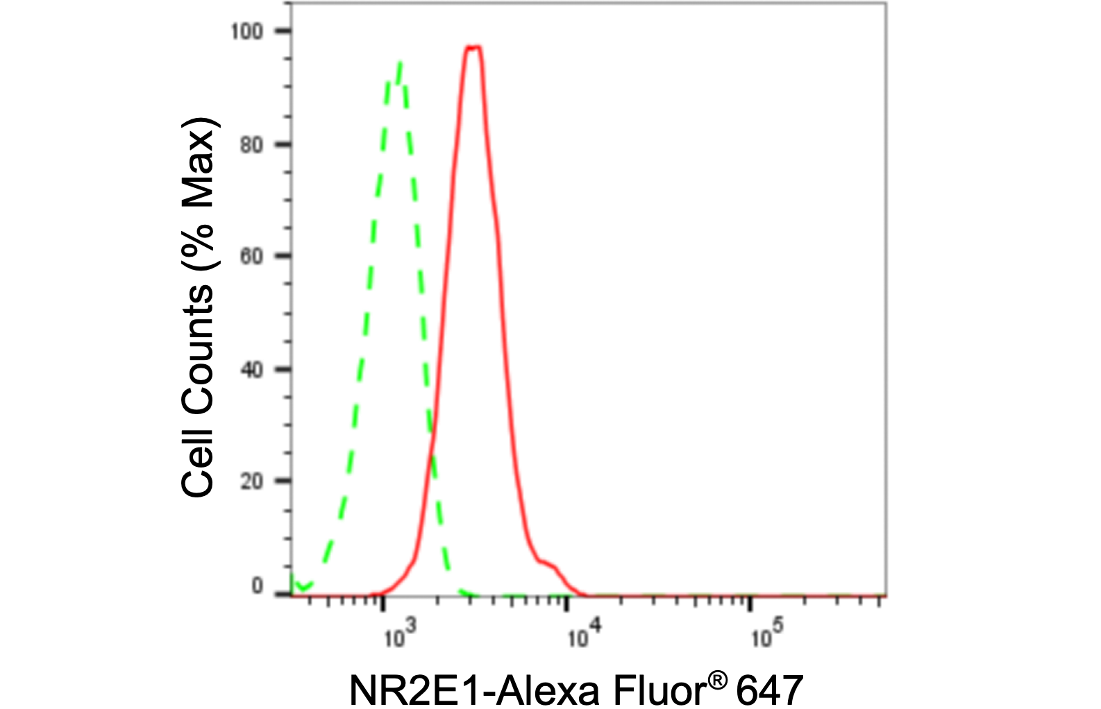 TLX/NR2E1 Antibody (24GB605)