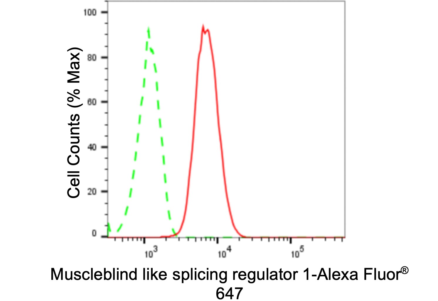 Muscleblind-like 1 Antibody (24GB610)