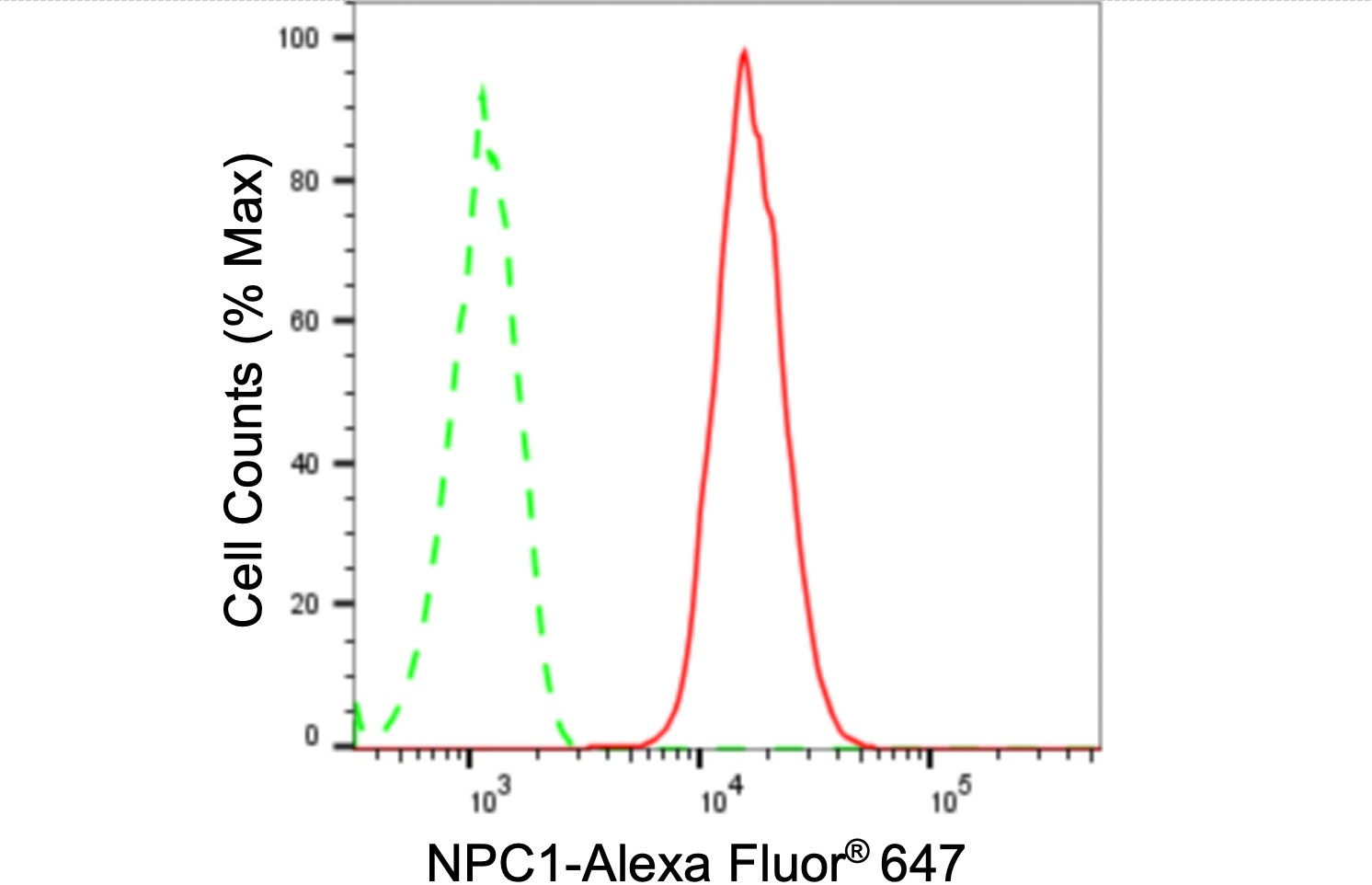 Niemann-Pick C1 Antibody (24GB620)