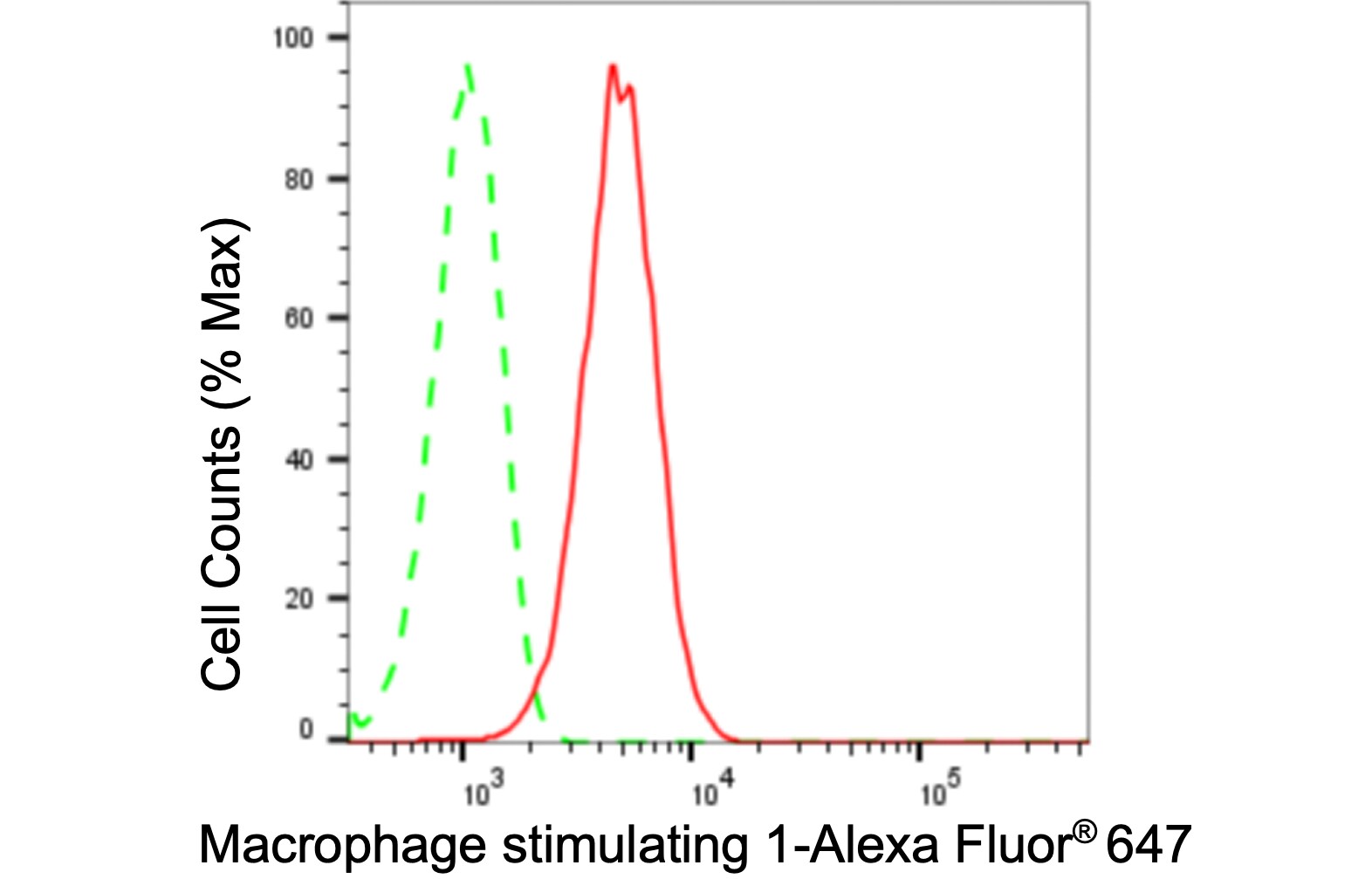 MSP/MST1 Antibody (24GB635)