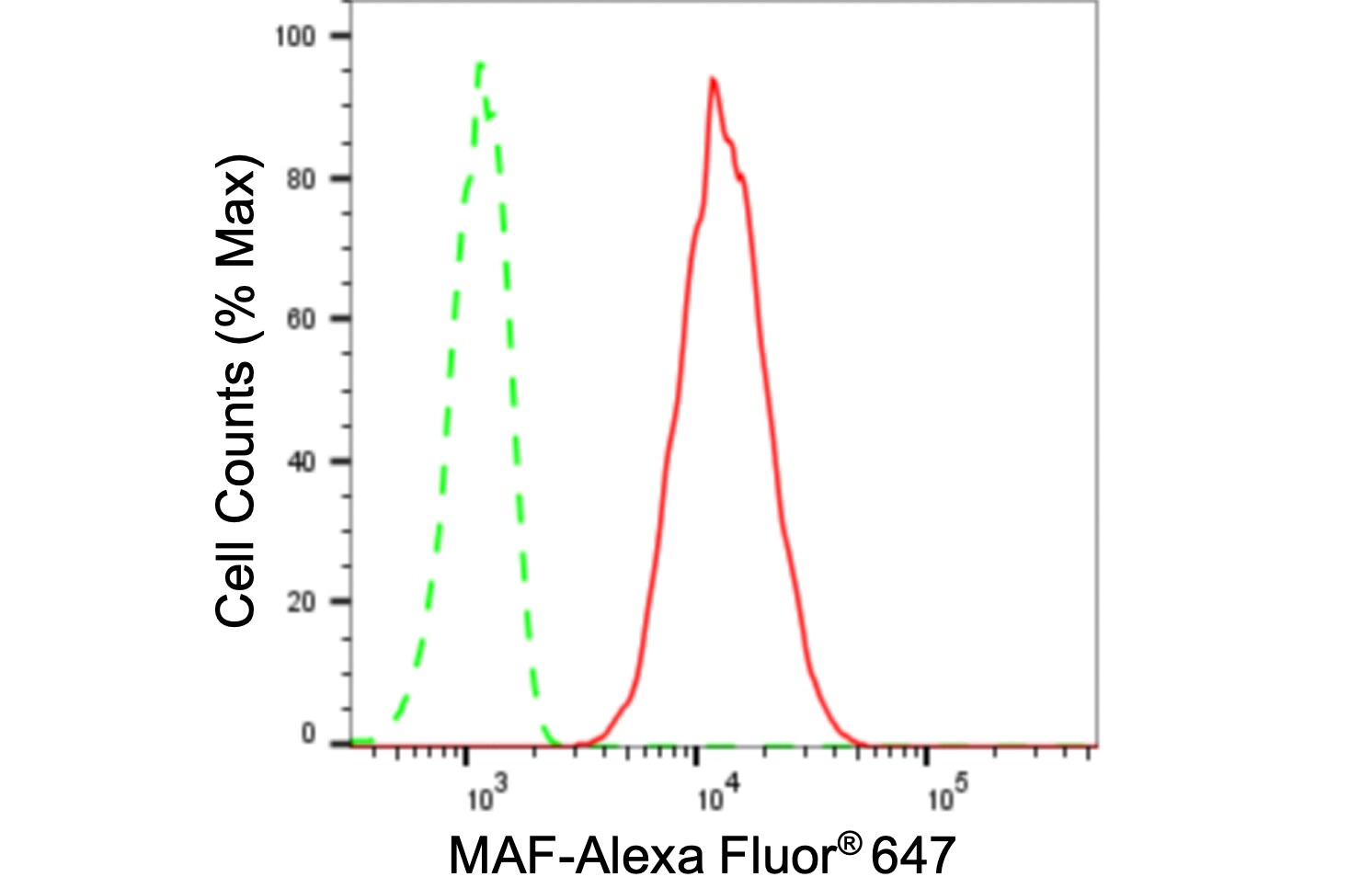 c-Maf Antibody (24GB650)