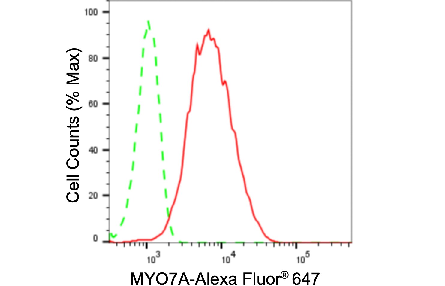 Myosin VIIa Antibody (24GB665)