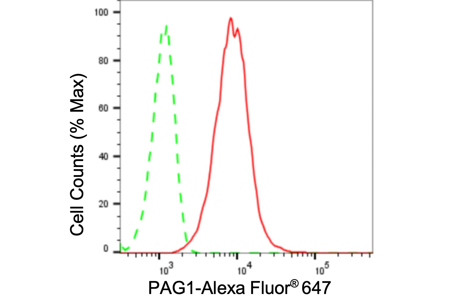 PAG1 Antibody (24GB685)