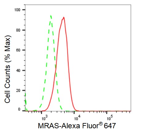 M-Ras/R-Ras3 Antibody (23GB2150)