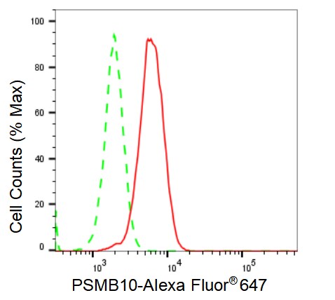 PSMB10/MECL1 Antibody (23GB2165)