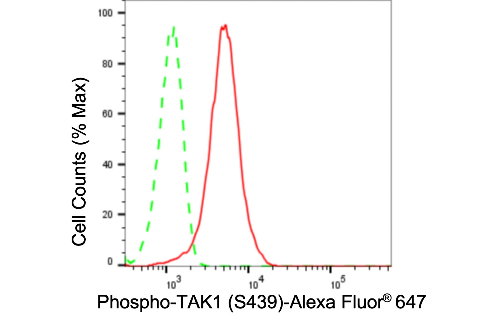 TAK1 [p Ser439] Antibody (24GB725)