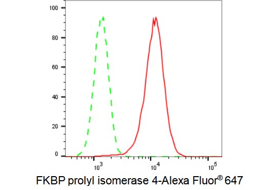 FKBP52/FKBP4 Antibody (23GB1915)