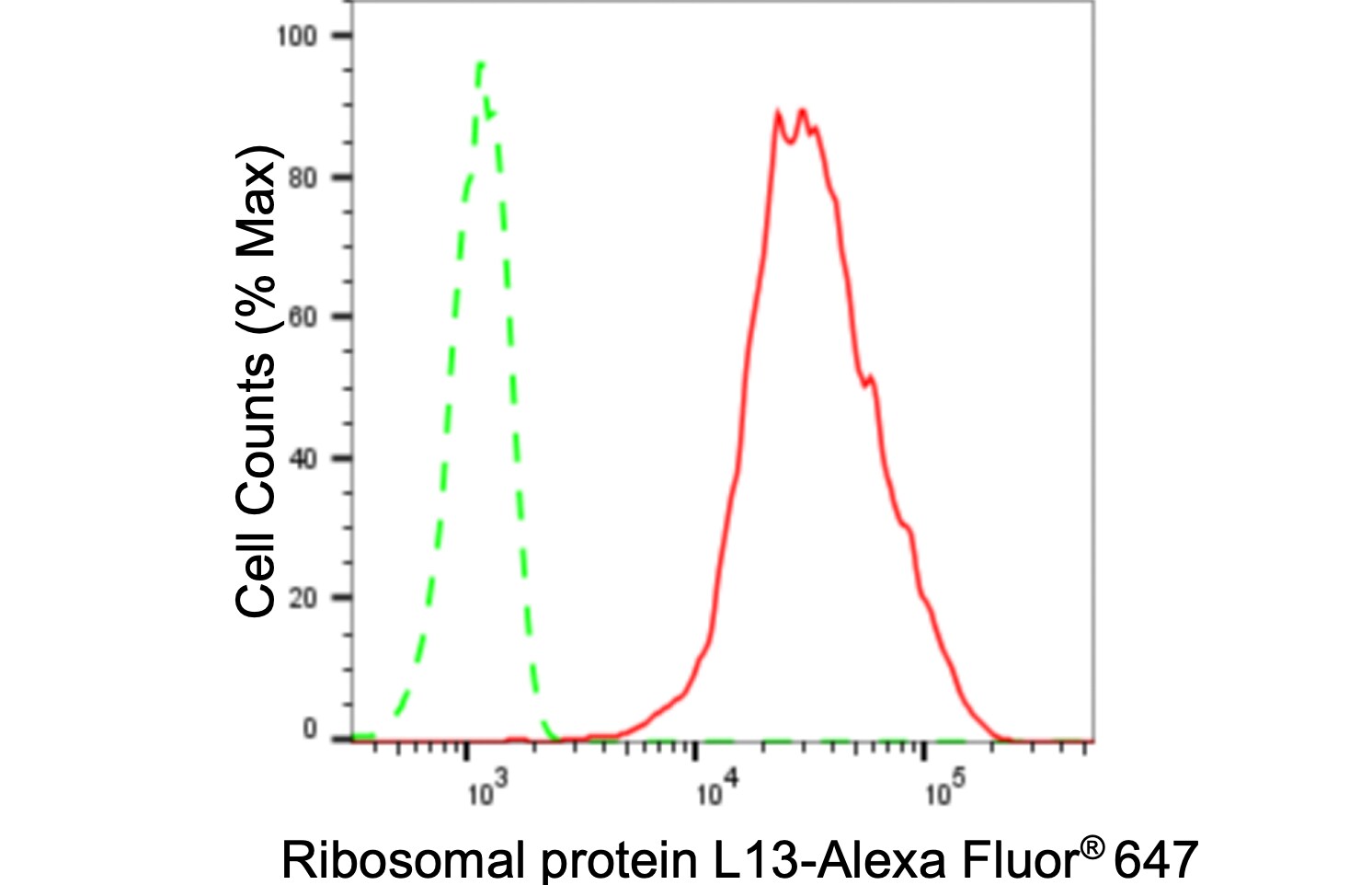 RPL13 Antibody (24GB770)