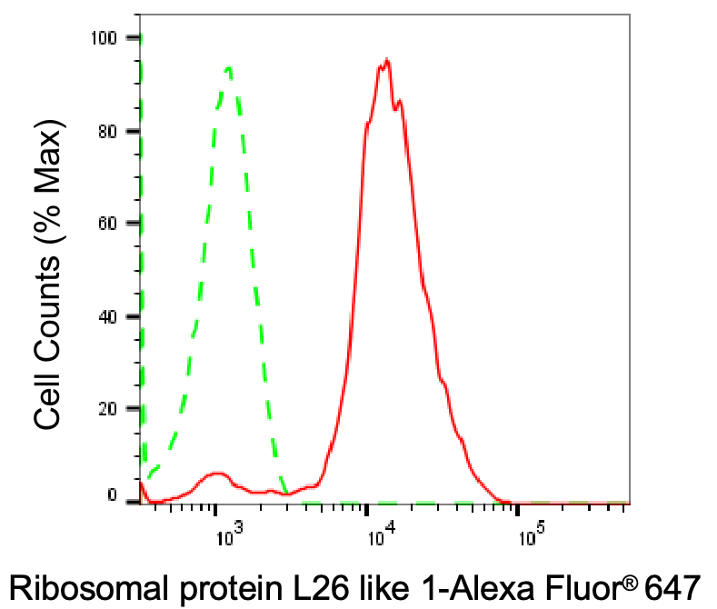 RPL26L1 Antibody (24GB780)