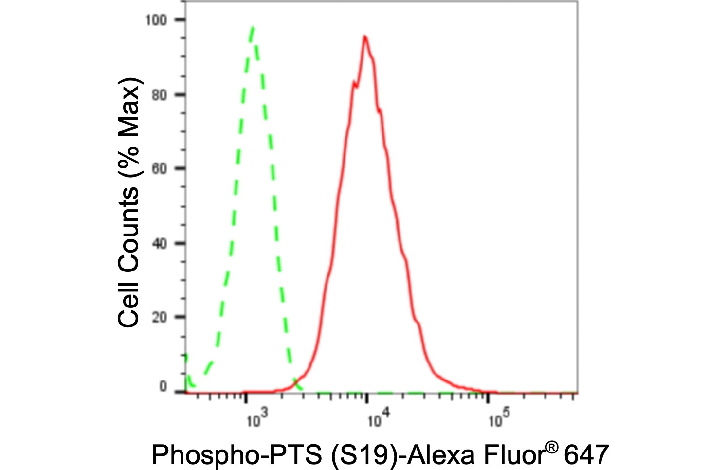 PTS [p Ser19] Antibody (24GB800)