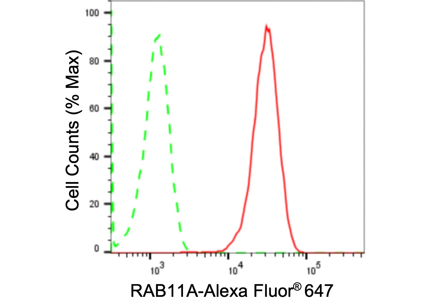 Rab11A Antibody (24GB820)