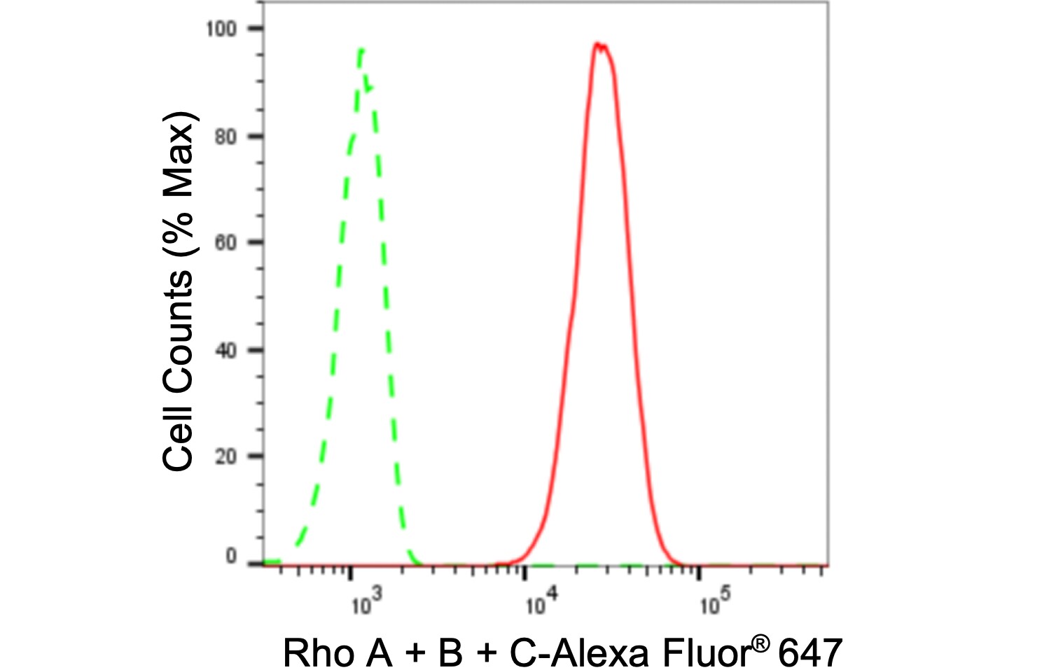 Rho A/B/C Antibody (24GB850)
