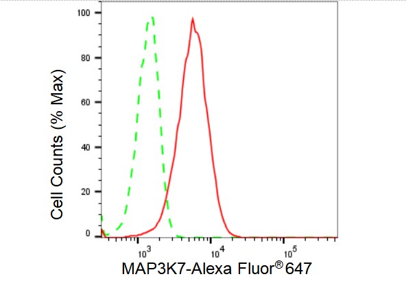TAK1 Antibody (23GB2395)