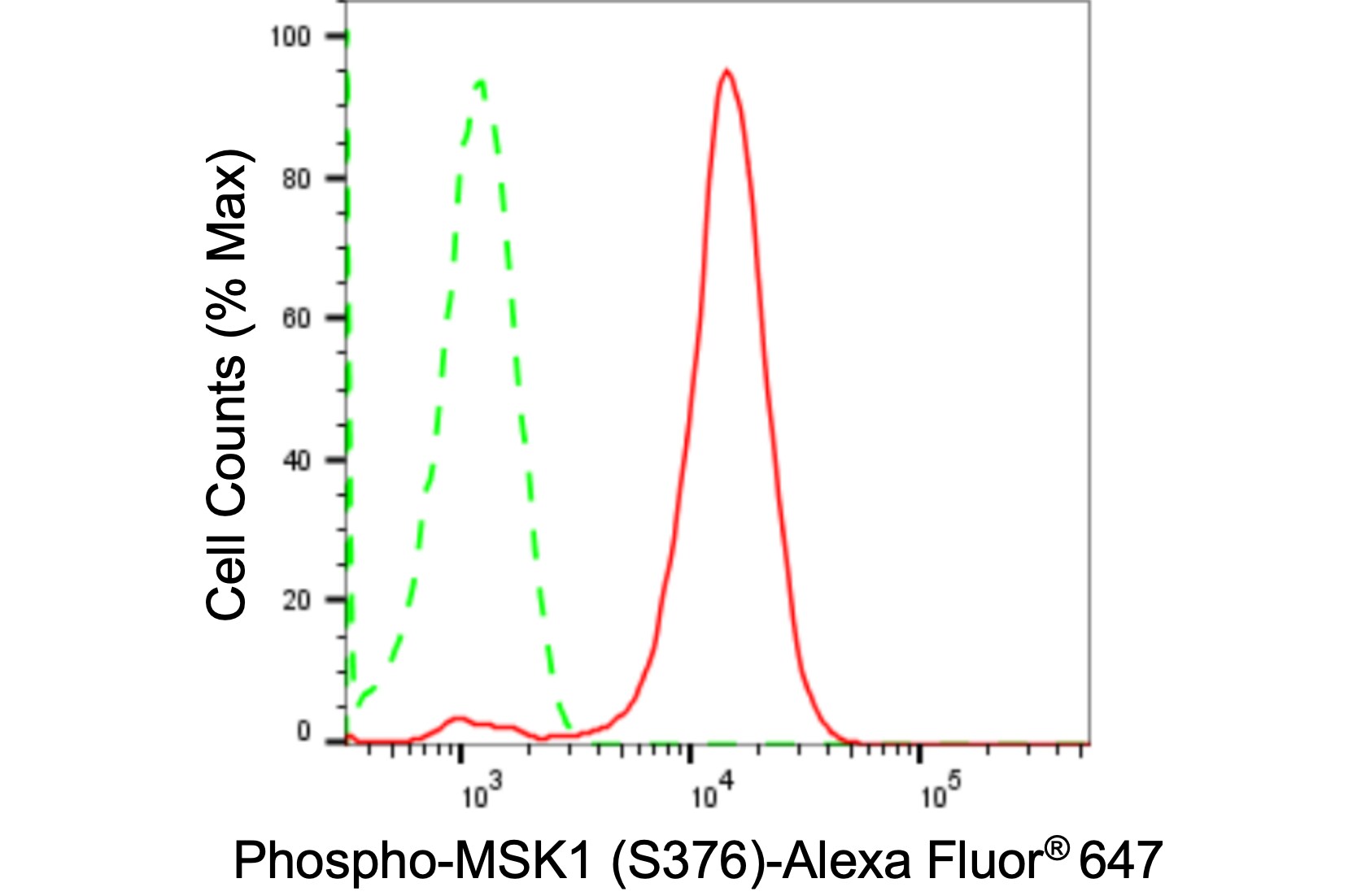 MSK1/RPS6KA5 [p Ser376] Antibody (24GB870)