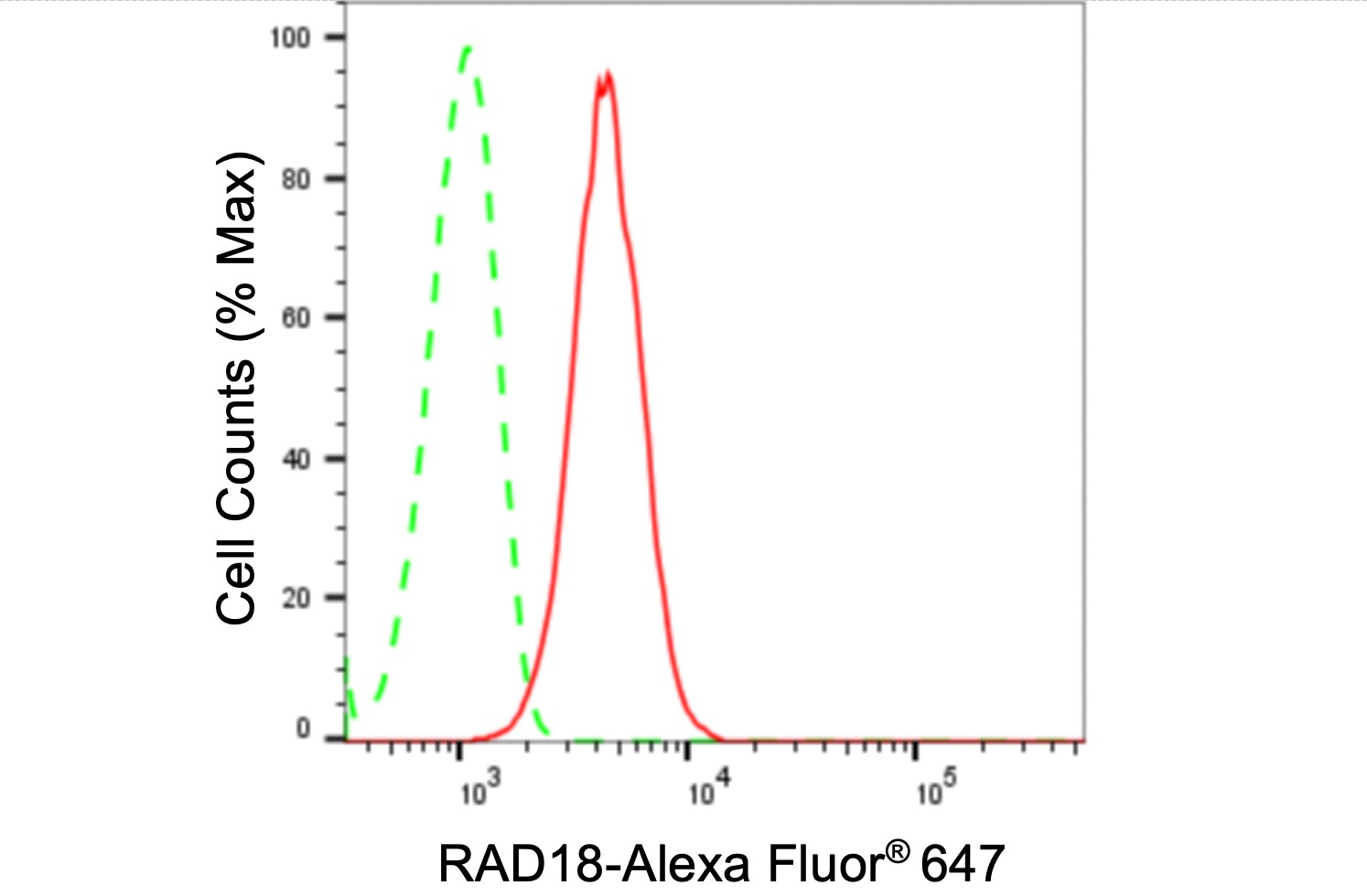 RAD18 Antibody (24GB880)