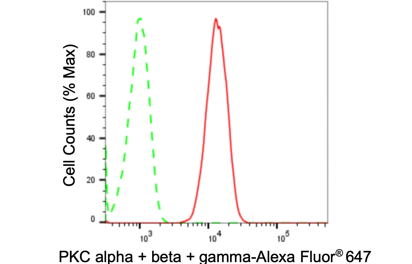 PKC Alpha/Beta/Gamma Antibody (24GB885)