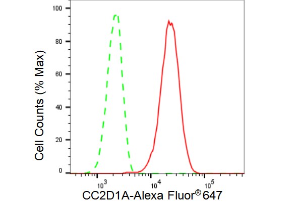 CC2D1A Antibody (23GB3045)