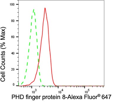 PHF8 Antibody (24GB945)