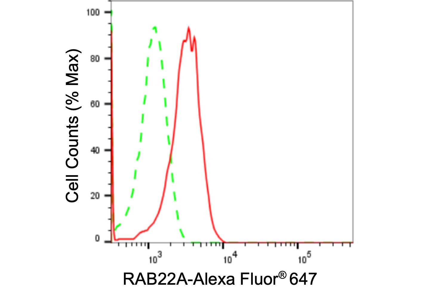 RAB22A Antibody (24GB1000)