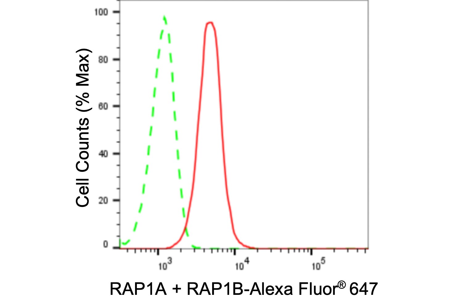 Rap1A/B Antibody (24GB1030)
