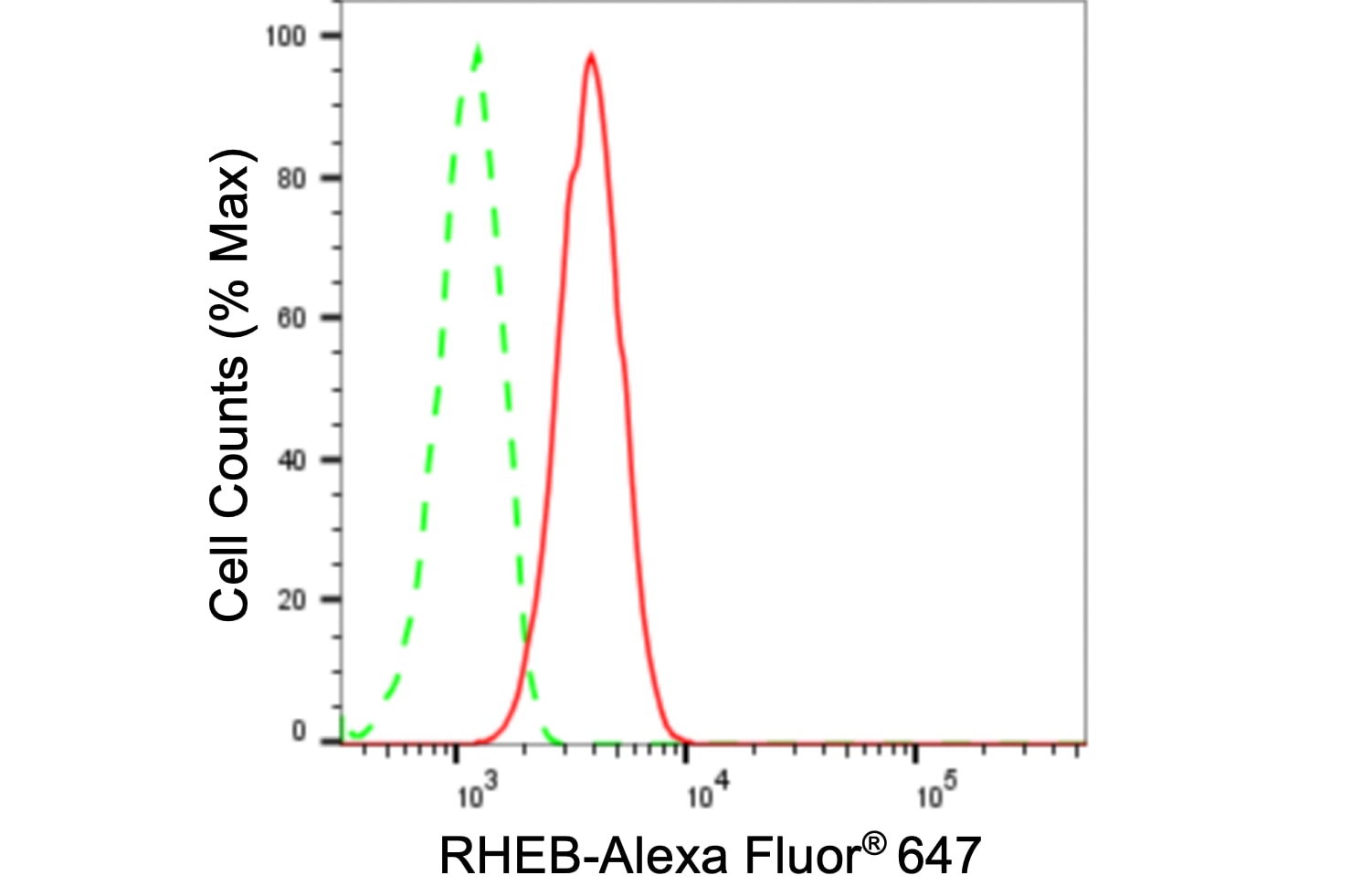 Rheb Antibody (24GB1055)
