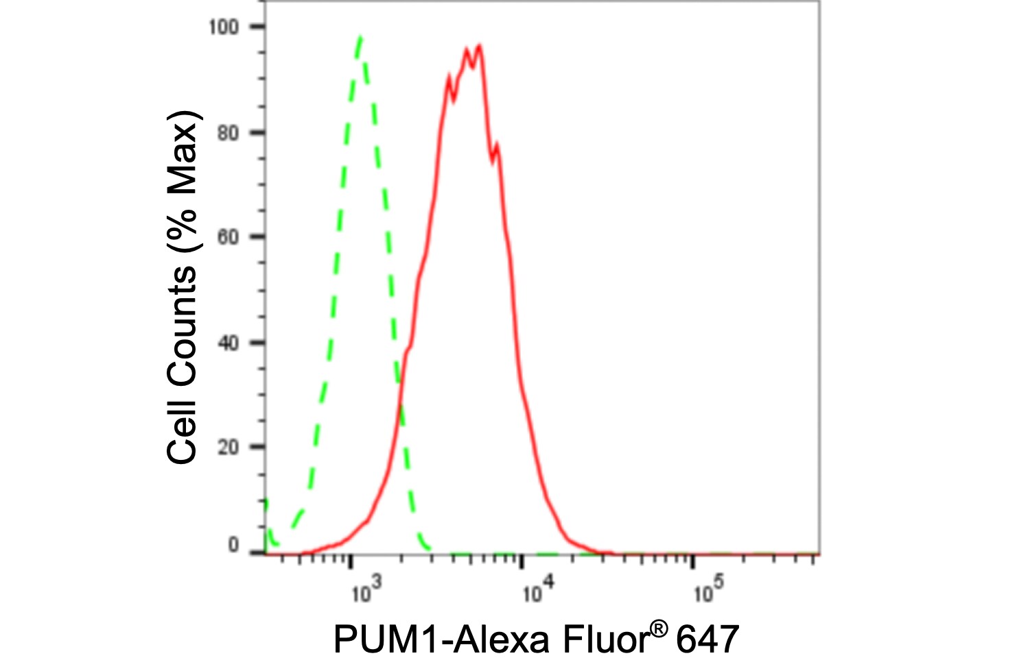 PUM1 Antibody (24GB1070)