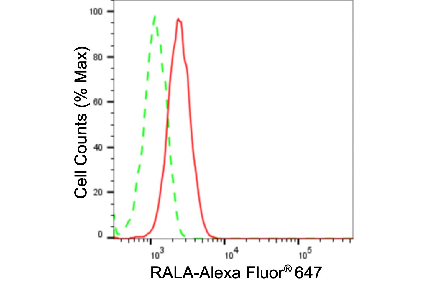 RalA Antibody (24GB1125)