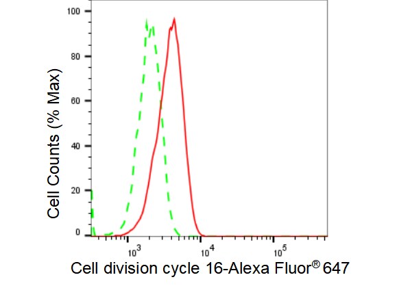 CDC16 Antibody (23GB3455)