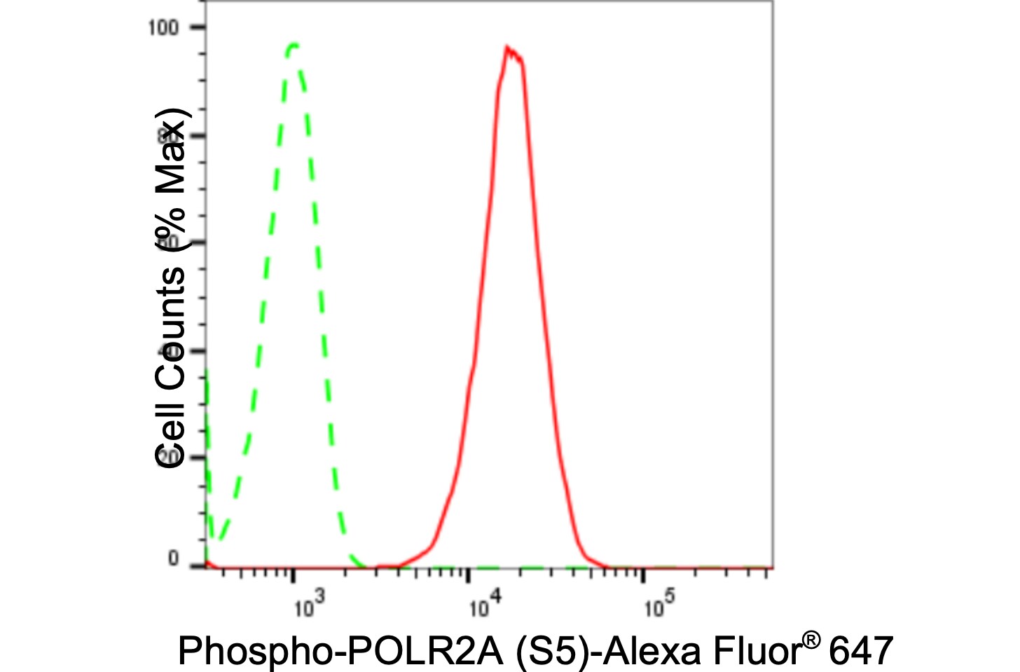 RNA Polymerase II/POLR2A [p Ser5] Antibody (24GB1180)