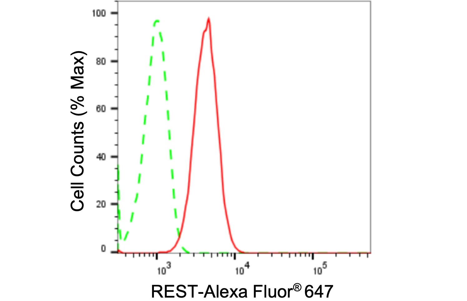NRSF Antibody (24GB1200)