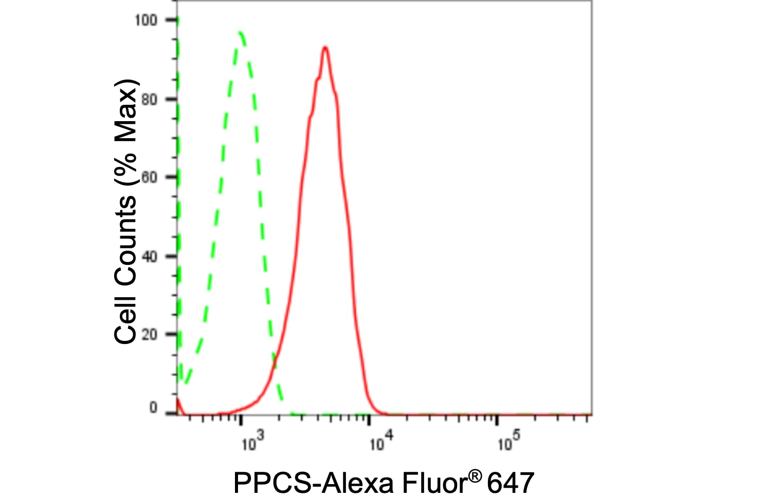 Phosphopantothenate-cysteine ligase Antibody (24GB1350)