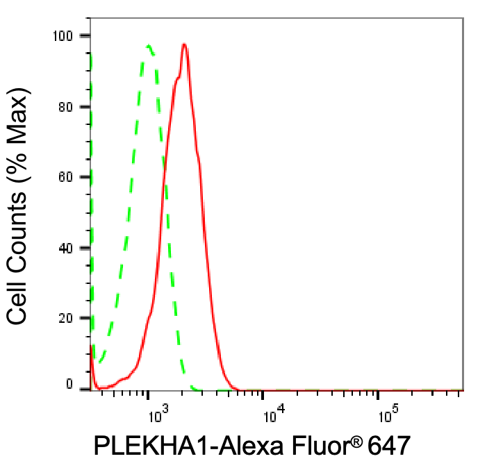 TAPP1/PLEKHA1 Antibody (24GB1360)