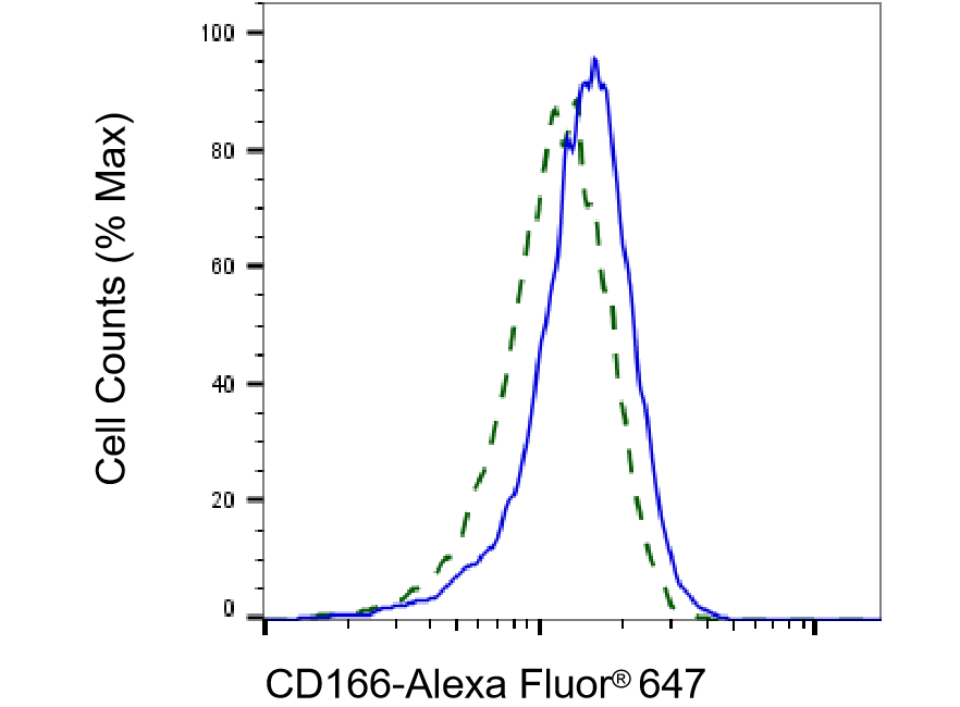 ALCAM/CD166 Antibody (23GB3405)