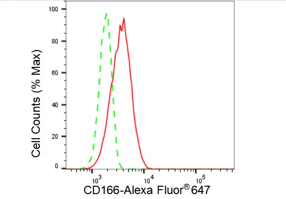ALCAM/CD166 Antibody (23GB3405)