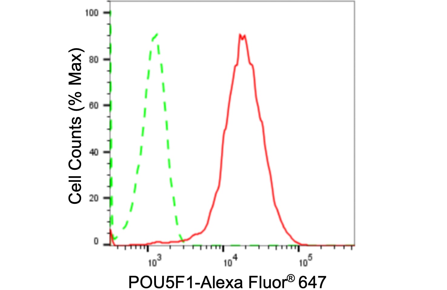 Oct-3/4 Antibody (24GB1425)