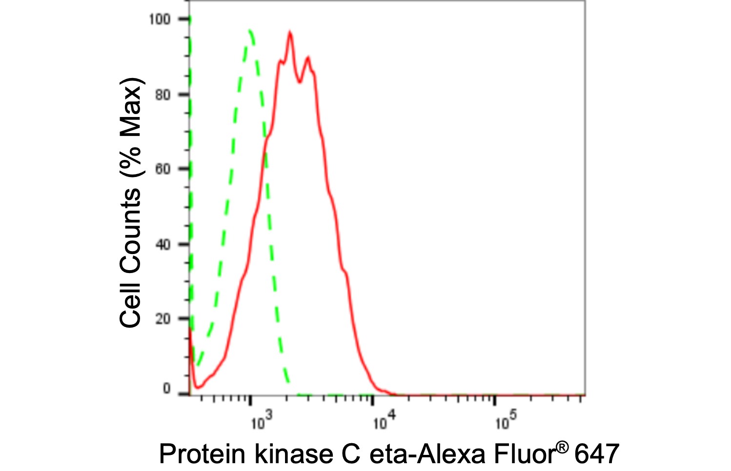 PKC eta Antibody (24GB1480)