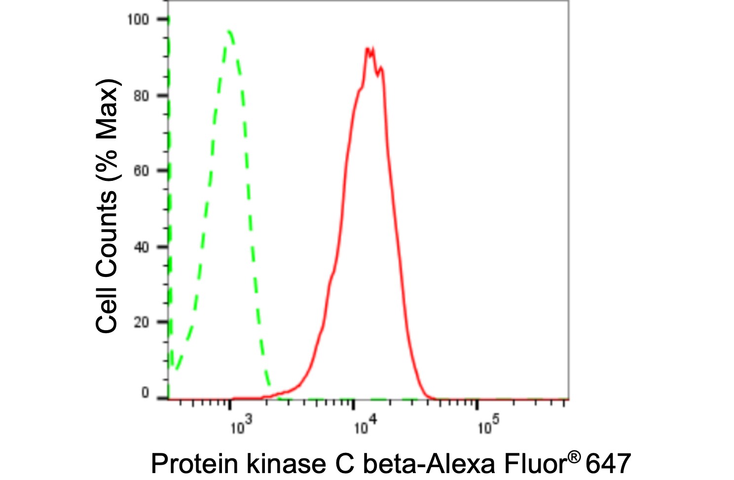 PKC beta Antibody (24GB1485)