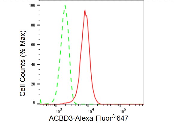 ACBD3 Antibody (23GB3620)