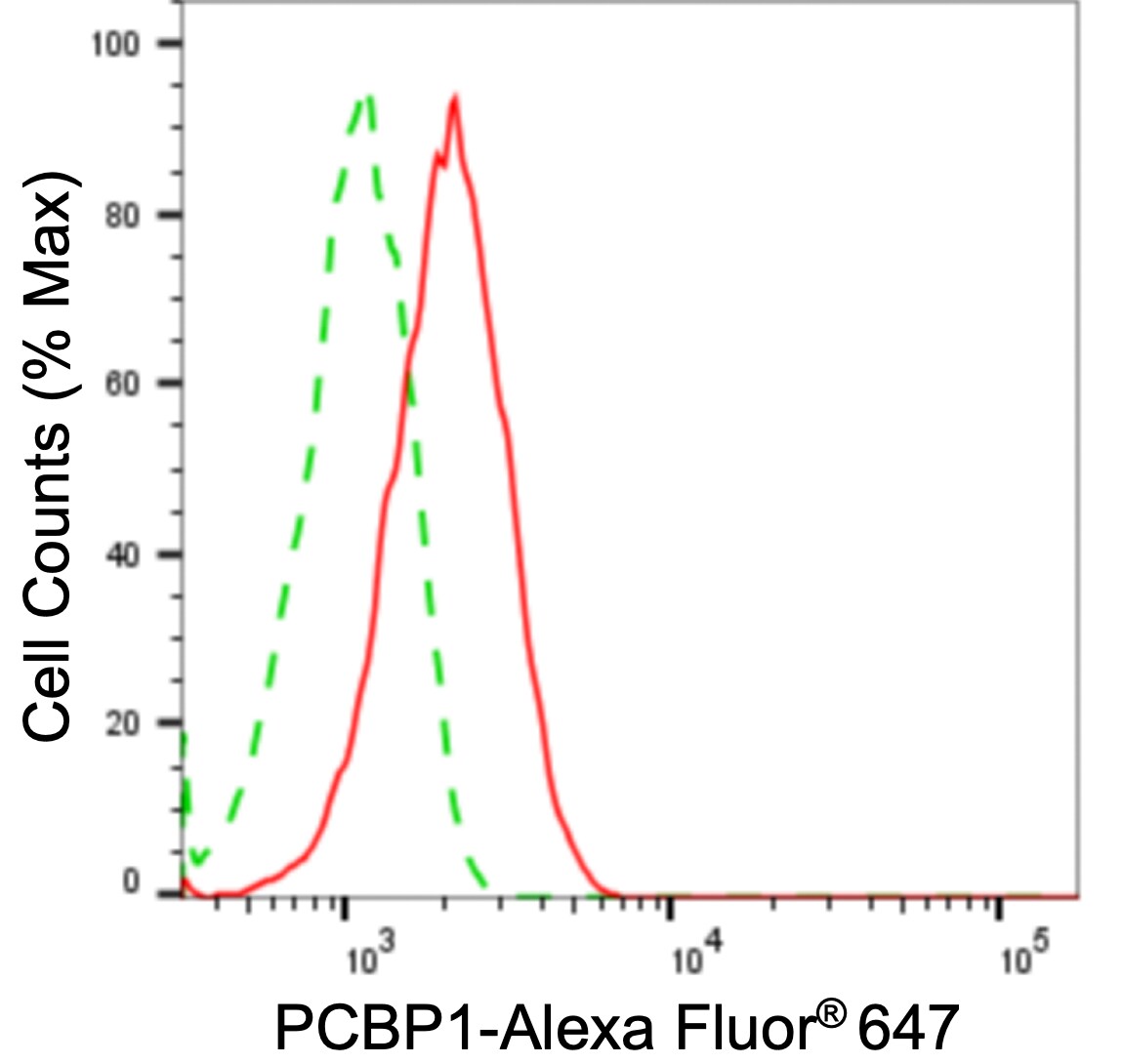 PCBP1 Antibody (24GB1510)