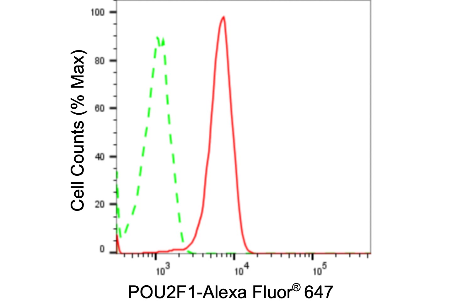 OCT1 Antibody (24GB1580)