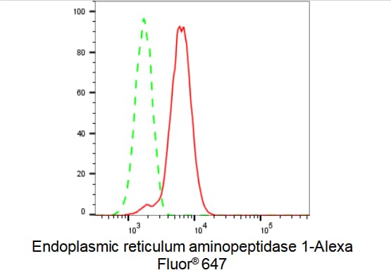 Aminopeptidase PILS/ARTS1 Antibody (23GB1650)
